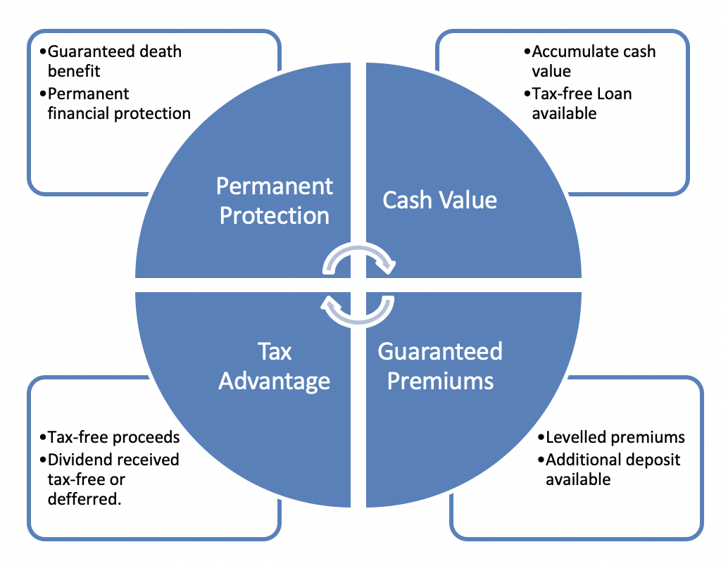 Participating insurance detail