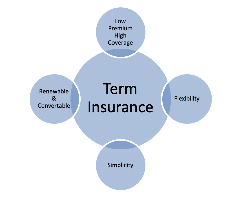term insurance detail